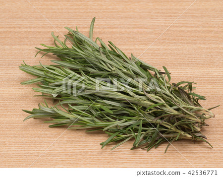 迷迭香 42536771