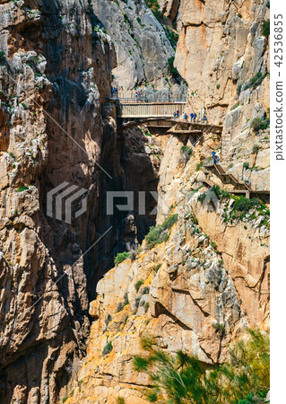 Caminito Del Rey - cliffs in Andalusia, Spain 42536855