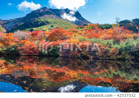 秋葉Nasu Chosato 42537332