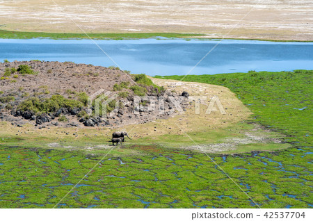 Savannah landscape with river  42537704