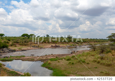 Savannah landscape with river Savannah landscape with river 42537720
