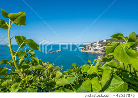 The green coast of Adriatic sea in Ulcinj The green coast of Adriatic sea in Ulcinj 42537876