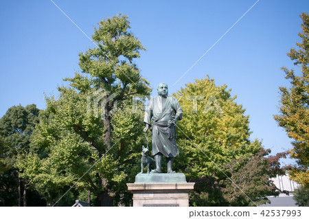 Ueno Park Saigo statue bronze statue Ueno Park Saigo statue bronze statue 42537993
