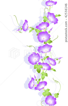 日本牽牛花圖案 插圖素材 圖庫