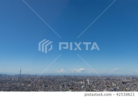 Sky tree and urban landscape 42538621