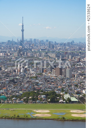 河床棒球場天空樹 42538624