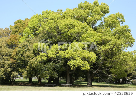 Odaka廢墟公園 42538639