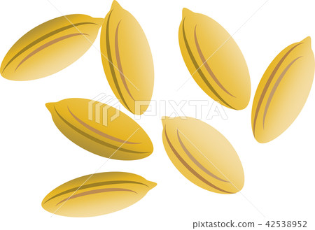 Chaff - Stock Illustration [42538952] - PIXTA