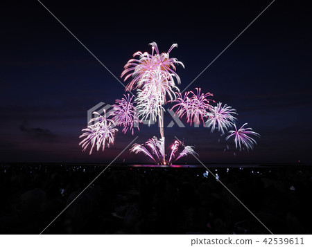 祗園海洋大煙花匯演2018年 祗園海洋大煙花匯演2018年 42539611