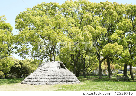 Odaka ruins park Odaka ruins park 42539710