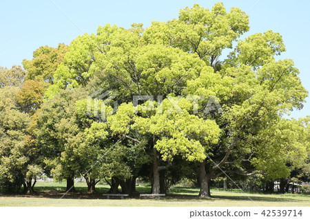 Odaka廢墟公園 Odaka廢墟公園 42539714