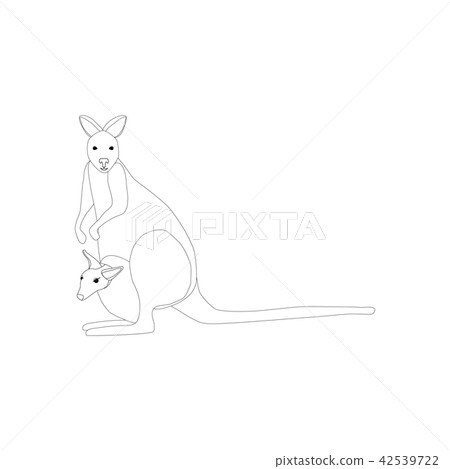 Kangaroo animal illustration 42539722