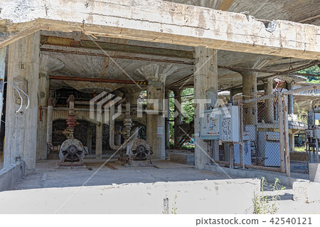 神道農場採購現場的追踪（八月兵庫縣朝來市） 42540121