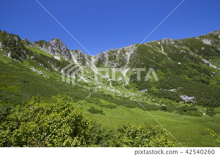 中阿爾卑斯山/ Senjaki-kiku捲曲 中阿爾卑斯山/ Senjaki-kiku捲曲 42540260