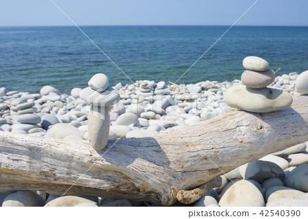 鳥取縣琴人町（Hanami海岸）的石灘 42540390