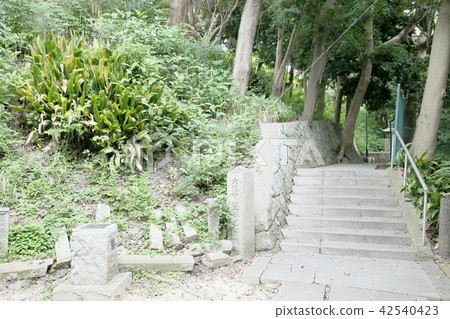 West entrance of Tsukiji temple West entrance of Tsukiji temple 42540423