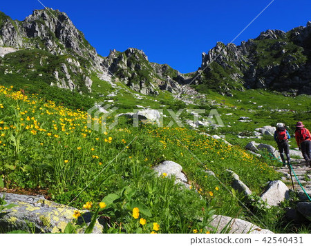 夏季Senjyo Kiki捲髮 夏季Senjyo Kiki捲髮 42540431