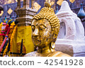 Buddha statue 42541928