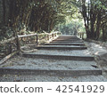 nature 42541929