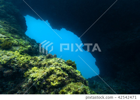 Underwater rocks and cave. Aquatic life background 42542471