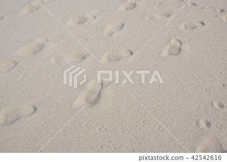 Beach sandy beach of Tottori prefecture 42542616