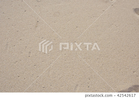 Beach sandy beach of Tottori prefecture Beach sandy beach of Tottori prefecture 42542617