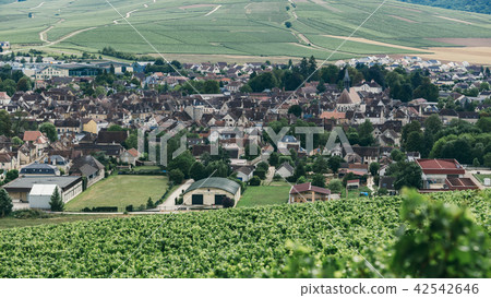 view of the town of Chablis 42542646