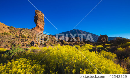 View of unique Roques de Garcia unique rock View of unique Roques de Garcia unique rock 42542829