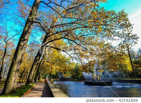 Art fountain in Peterhof Palace, Russia 42542889