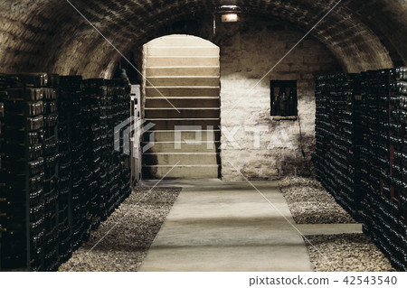 Old wine cellar 42543540