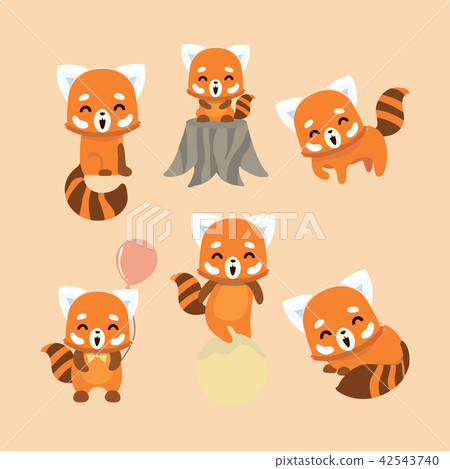 Red panda 1080P 2K 4K 5K HD wallpapers free download  Wallpaper Flare