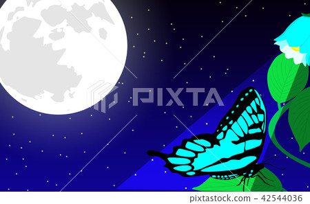 Butterfly and full moon 42544036