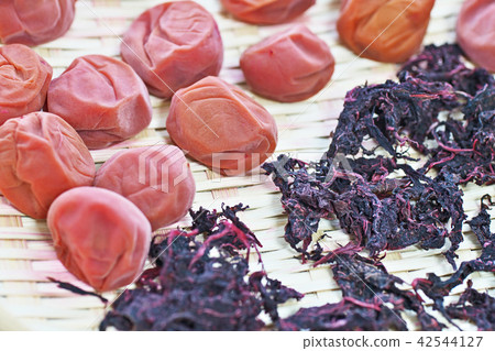 Umeboshi (daily rice) Umeboshi (daily rice) 42544127