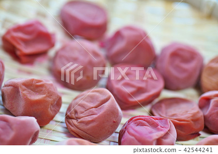 Umeboshi(每日大米) Umeboshi(每日大米) 42544241