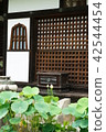 Mimuroto寺 42544454