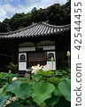 Mimuroto寺 42544455