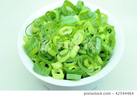 Kujo洋蔥 Kujo洋蔥 42544464