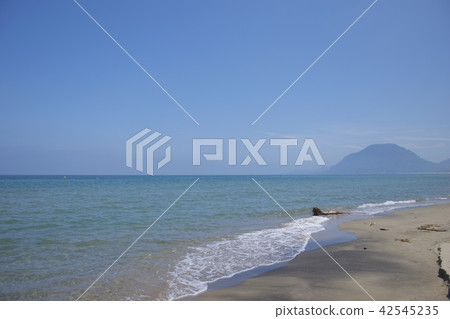 Coast of summer Tottori sand dune 42545235