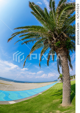 Shiratani Kaihin Park 42545929