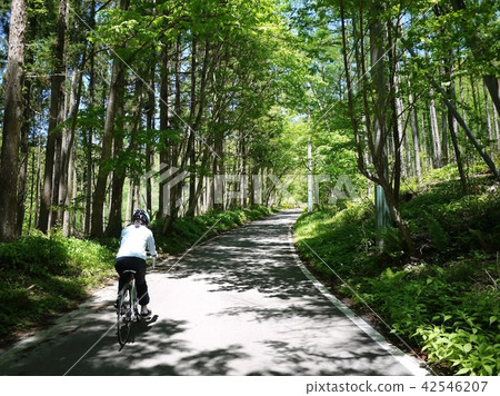 Cycling Cycling 42546207