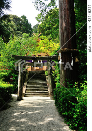 加茂神社 加茂神社 42546235