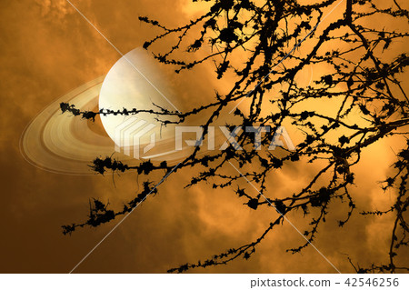 Saturn near earth on night sky silhouette dry tree Saturn near earth on night sky silhouette dry tree 42546256