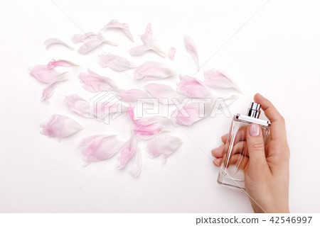 perfume and flower petals top view 42546997