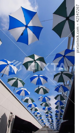 umbrella, brolly, artistic 42547267