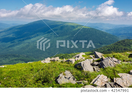 rocks among the grass on a hillside 42547991