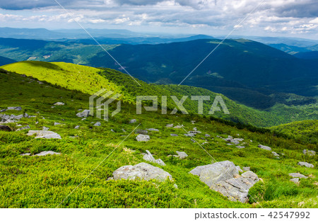 beautiful summer landscape of Carpathians 42547992