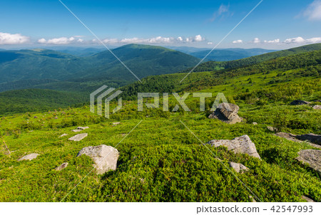 beautiful summer landscape in mountains 42547993