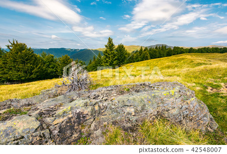 huge boulder on a grassy meadow huge boulder on a grassy meadow 42548007