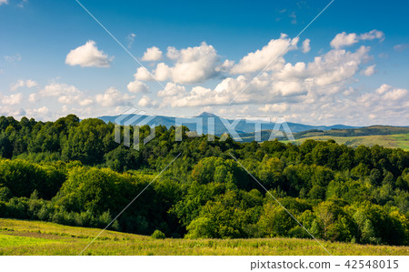 mountain ridge with high peak behind the forest mountain ridge with high peak behind the forest 42548015
