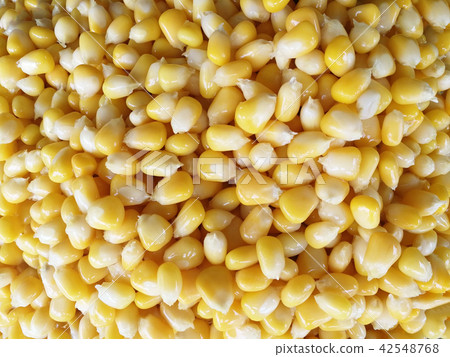 Sweet corn kernels 42548768